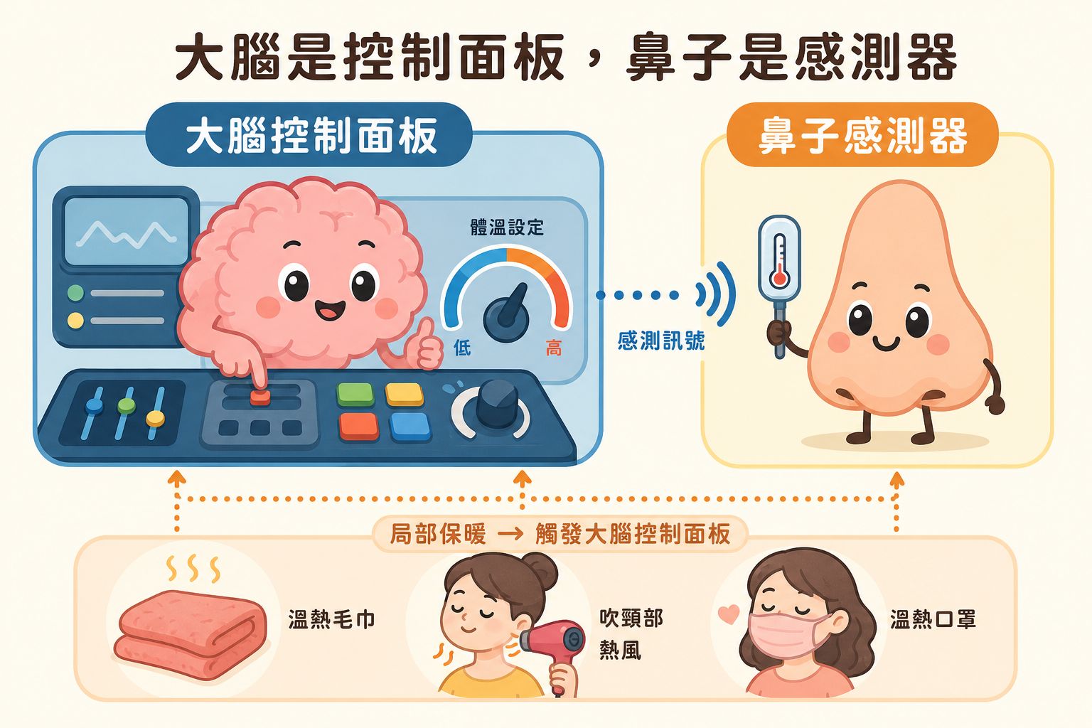 大腦是控制面板，鼻子是感測器